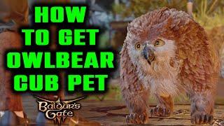 How to Get Owlbear Cub Pet Complete Guide Baldurs Gate 3 - Save Owlbear Cub