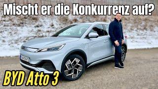 BYD Atto 3 Besser als Hyundai Kona Elektro Kia Niro EV MG4 und Co.? Test  Review  2023