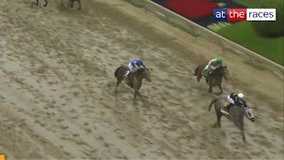 Seize The Grey wins the PREAKNESS Stakes as Triple Crown hope Mystik Dan is second