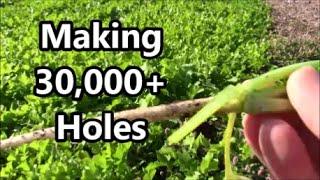 Making 30000+ Holes For BUILDING FALL GARDEN SOIL
