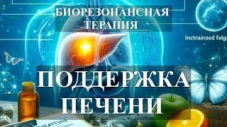 Поддержка ПечениБиорезонансная Терапия Liver SupportBioresonance Therapy