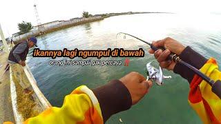 mancing ikan kakap tompel yang lagi ngumpul di bawah dermaga‼️ snapper fish