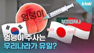 외국은 안 맞는다는 엉덩이 주사 왜 우리나라는 아직도...?｜크랩