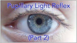 Pupillary light reflex pathway - Part 2 Including Sample Questions
