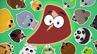 ONLY *MEAT* CHALLENGE in MOPE.IO