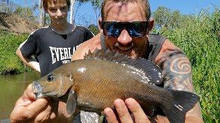 Tinaroo Dam Fishing - Slimy Catfish and some Sootys