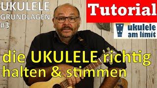 UKULELE GRUNDLAGEN 3 UKULELE HALTEN & STIMMEN Ukulele Tutorial - Andreas Bördlein