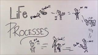 Life Processes - ep01 - BKP  Class 10 biology science ncert cbse boards full explanation in hindi