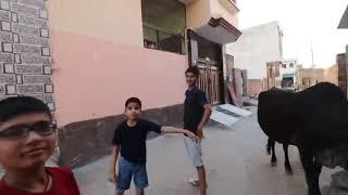 piyush Joshi and his friends playing gully cricket with Sourav Joshi @piyushjocgaming