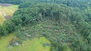 New video shows possible tornado damage in Forestville New York