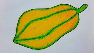 papaya drawing colour papaya drawing easy  papaya drawing step by step