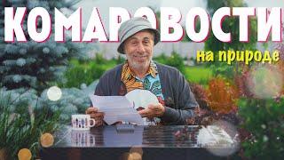 Комаровости на свежем воздухе – Как спастись от удара молнии?  Как погибли динозавры