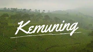 Beautiful Tea Plantation in Ngargoyoso Tawangmangu Solo - Aerial Video