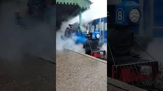 Double Header Wetness #short #steam #steamtrain #train #miniaturerailway #railway #shortvideo