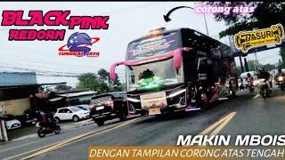 TAMPIL MAKIN MBOIS ‼️ PESONA BUS VIRAL BLACK PINK  Tunggal Jaya 