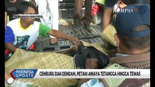 Cemburu Akibat Istri Selingkuh Petani Aniaya Tetangga Hingga Tewas