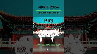 PIG CHINESE HOROSCOPE APRIL 2024  Monthly Astrology Prediction