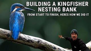 I Built an Artificial KINGFISHER Nesting Bank  HERES how we did it