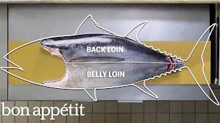 How To Butcher a Whole Tuna Every Cut of Fish Explained  Handcrafted  Bon Appétit