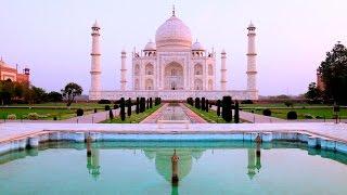 Is Insect Poo Destroying the Taj Mahal?