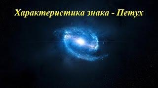 Характеристика знака - Петух