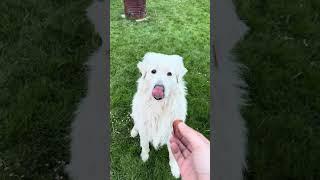 My best bro having a snack