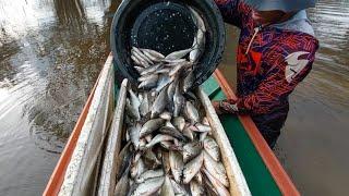 BERJUANG MEMANG SUSAH... TAPI BERDIAM DIRI MALAH TAMBAH SUSAH... JARING IKAN KETULAI...