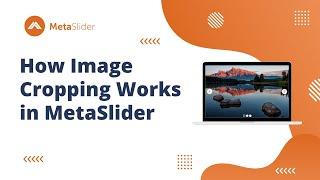 How Image Cropping Works in MetaSlider