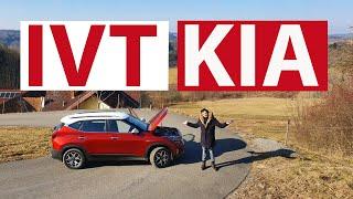 KIA SELTOS 2020 ВИНОВЕН без разбирательств