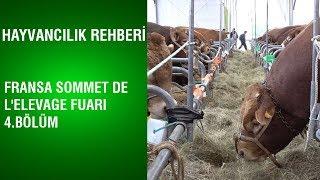 Hayvancılık Rehberi - Fransa Sommet De Lelevage Fuarı  4.Bölüm
