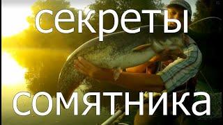 Ловля сома на квок. Секреты сомятника. #рыбалка #сом #квок