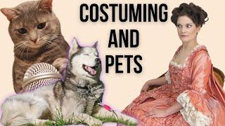 21 Costube Questions from my pets  A Janeite Sews with Cats and Doggos