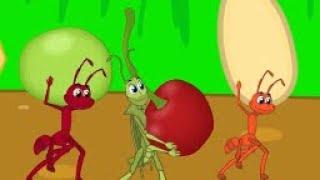 Karınca ile Çekirge Masalı ve Şarkısı  Adisebaba Masalları