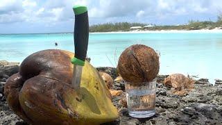 Как выбратьоткрыть и почистить кокосовый орех