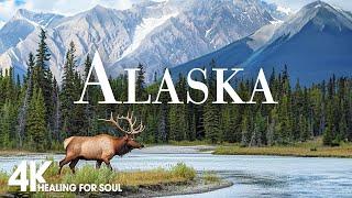 Wild Beauty of Alaska 4K A Relaxing Journey Through Nature Alaska Life Relaxation Film