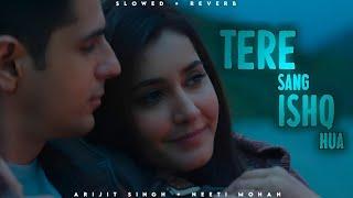 Tere Sang Ishq Hua - Arijit Singh  Neeti Mohan  Lofi Editz  Slowed + Reverb