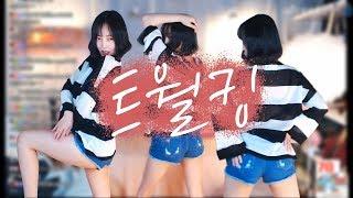 하랑이의 트월킹