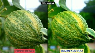 Redmi K20 Pro Vs Oppo Reno 10X Zoom Camera Comparison  #OppoReno #Reno10XZoom #RedmiK20Pro #k20