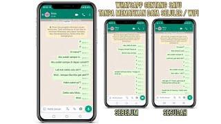 Cara Membuat WhatsApp Centang Satu Tanpa Mematikan Data Seluler  Wifi