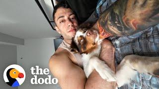 Guy Gets A Dog After A Breakup And...  The Dodo