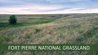 Fort Pierre National Grassland