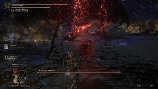 Elden Ring Lichdragon Fortisax no damage