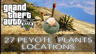 GTA 5 All 27 Peyote Plant Locations - Play as Animals - Cryptozoologist trophy \ achievement