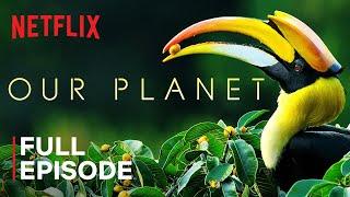 Our Planet  Forests  FULL EPISODE  Netflix