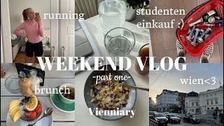 WEEKEND VLOG I Wocheneinkauf Brunch Lieblingsapp Pamelas Riegel Food I VIENNIARY I KATHAMARIIE