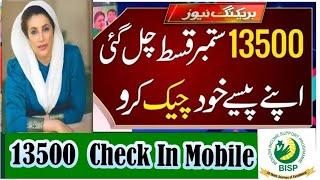 How to check Benazir income program payment in mobile Bisp 13500 check in 2025