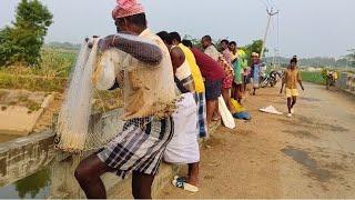 Watch the unbelievable Unbelievable Cast Net Fishing Video Catching Lot of fish by cast net