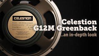 Celestion G12M Greenback an in-depth look.