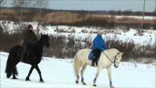 Клип к песни Конь - Арсений Назаренко группа Исповедь меча