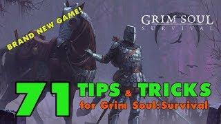 Grim Soul Survival 71 Tips and Tricks for Grim Soul Dark Fantasy Survival